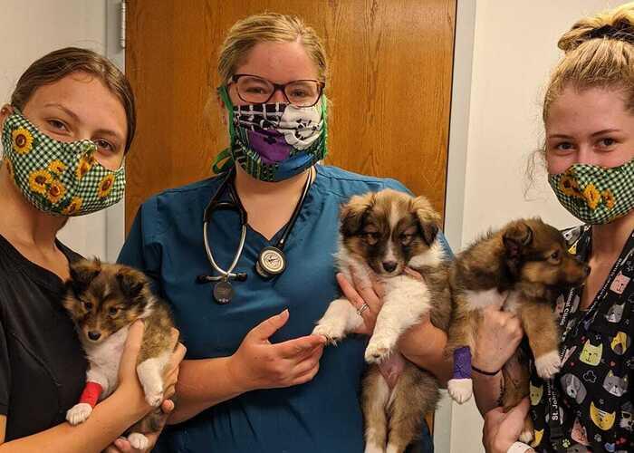 clinic photo with puppies 