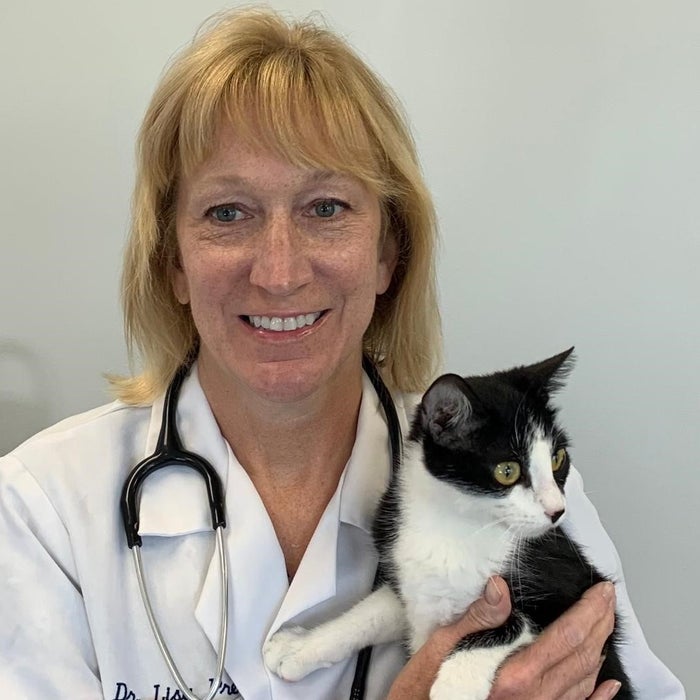 Meet the Team | St. John Animal Clinic Meet the Team | St. John Animal Clinic